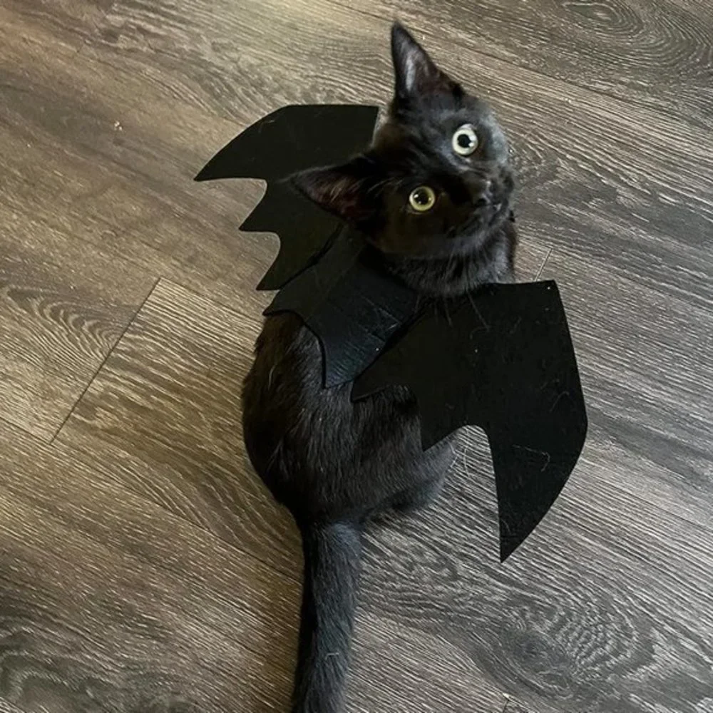 Pet‎ Cat Bat Wings for Halloween Party Decoration